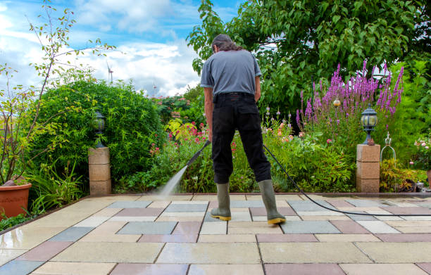 Best Patio and Deck Pressure Washing  in Lake Shore, MD